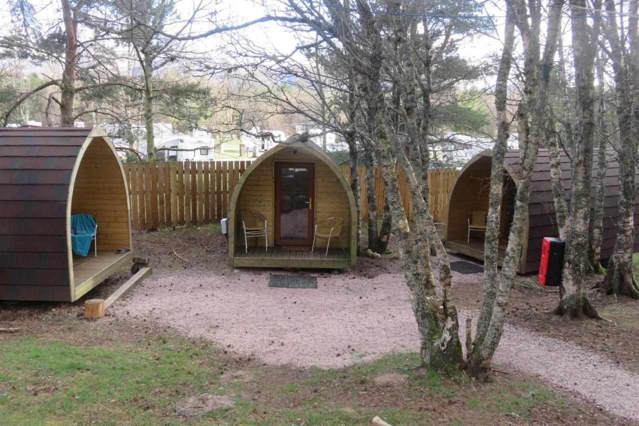 Pine Marten Bar Glenmore Pods Aviemore Exteriér fotografie